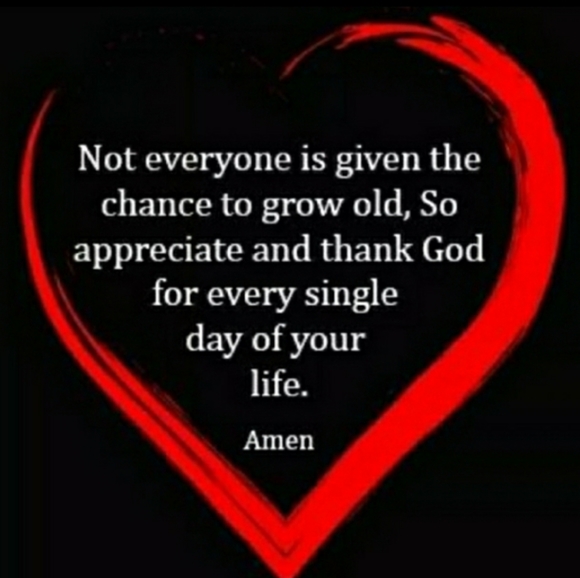 🇫🇷 French Kiss Black and Copper RUFFLE Bow Ballerina Flat Sz - Picture 15 of 15